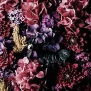 アリュールの画像