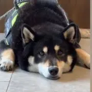 masa☆*。の画像