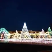 リコピンの画像