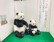 rrrの画像