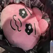 ぱの画像