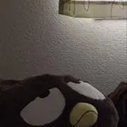 ingya-  ̫ -の画像