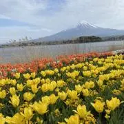 ぱふぇの画像