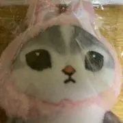 らいおんの画像