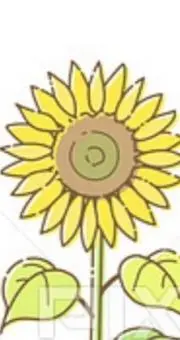 いま✨むかし屋　フォロー割　おまとめ割