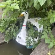あかりの画像