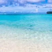 kanの画像