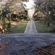 のりの画像