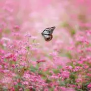 mimi♡dreamy