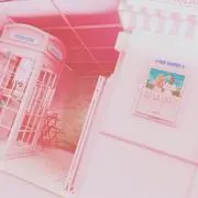 みんみん。