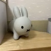 Sakurashopの画像