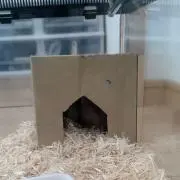 凹電の画像