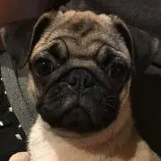 xx40xxの画像