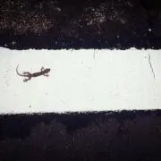 くり