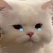 みちゃんの画像