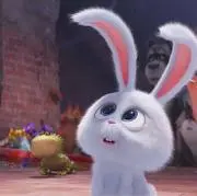 マル