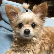 ゆう龍ママ