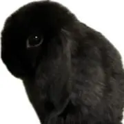 ૮.ˬ.ྀིა ｍｉｍｉʻohanaの画像