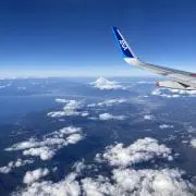 アーモンドの画像