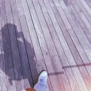 あいの画像