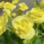 minの画像