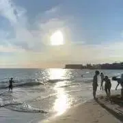 K