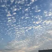 こうちんの画像