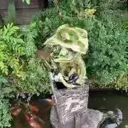 シャークの画像