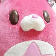星たぬきの画像