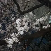 (^^)の画像