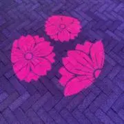 ハナの画像