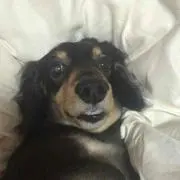 なっちゃん
