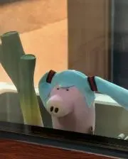 あきの画像