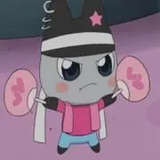 Rの画像