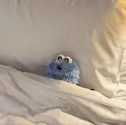 ホワイトモカの画像