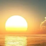 たけのこの画像
