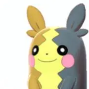 もるぺこ◎値段交渉可の画像