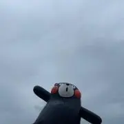 てての画像