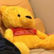 rの画像