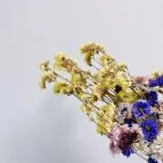 なつ※おまとめ割一律100円の画像