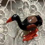 ツルちゃんの画像