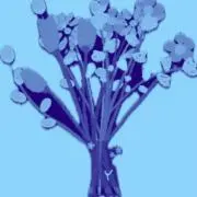 Myy_dyyの画像