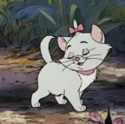にゃの画像