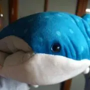 のあの画像