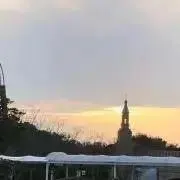 プッチの画像
