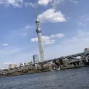 シュウの画像