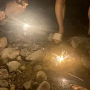 しんだむの画像