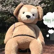 asamamaの画像