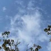ya