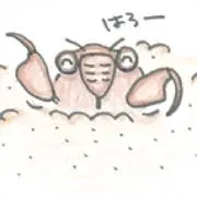 さなぎ12号の画像